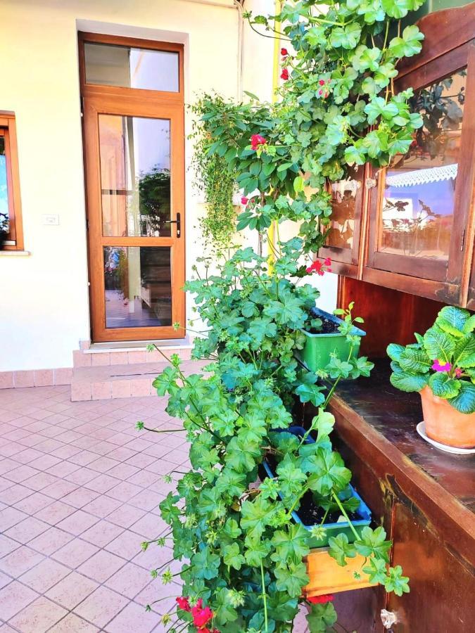 Hotel Luisa ブレンゾーネ エクステリア 写真